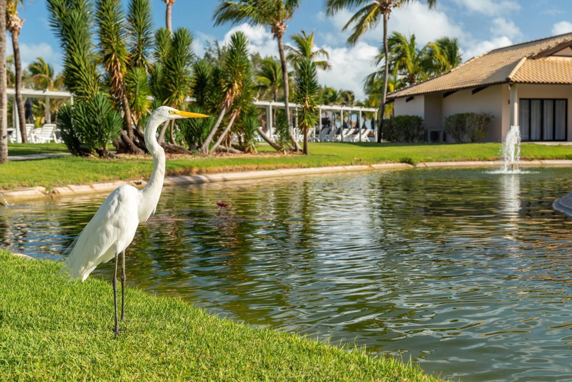 Vila Gale Resort Cumbuco Caucaia Exterior foto